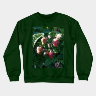 Raspberry Close Up Nature Photography Pacific Northwest Crewneck Sweatshirt